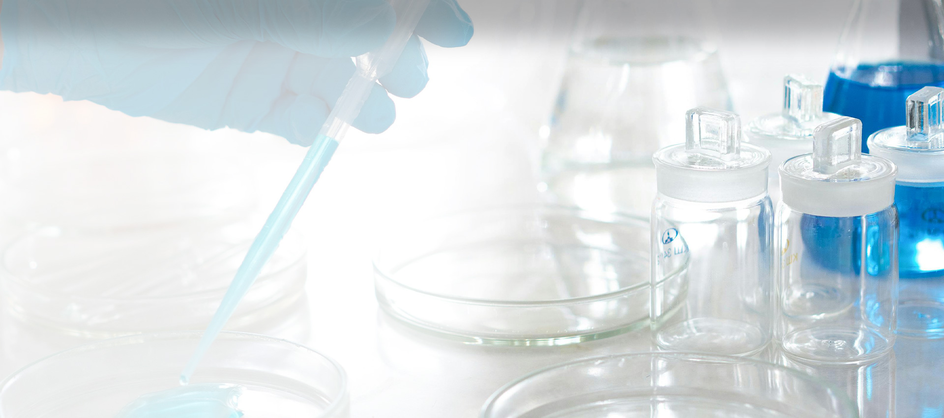 Mettlead Chemicals